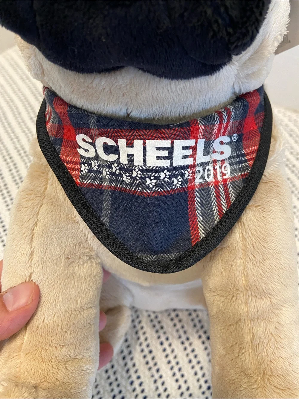 Scheels 2019 Jaag Plush Pug Dog Stuffed Animal Sitting 11